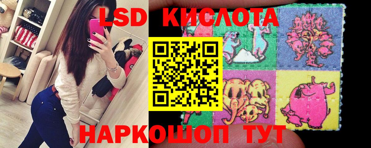 Наркотические марки 1500мкг  Наркотические марки 1500мкг  Кировск  Вход с VPN 