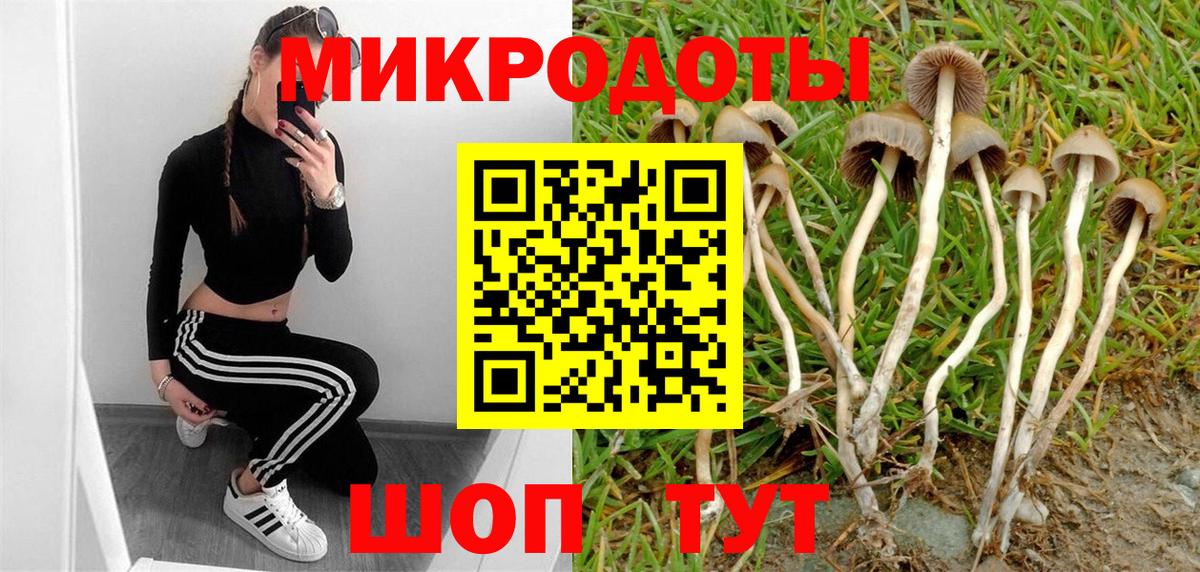 Кировск  Псилоцибиновые грибы Magic Shrooms  Галлюциногенные грибы Magic Shrooms  что такое   Вход с VPN 
